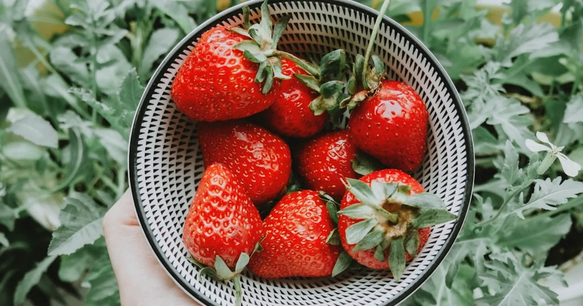 strawberries on stainless steel bowl