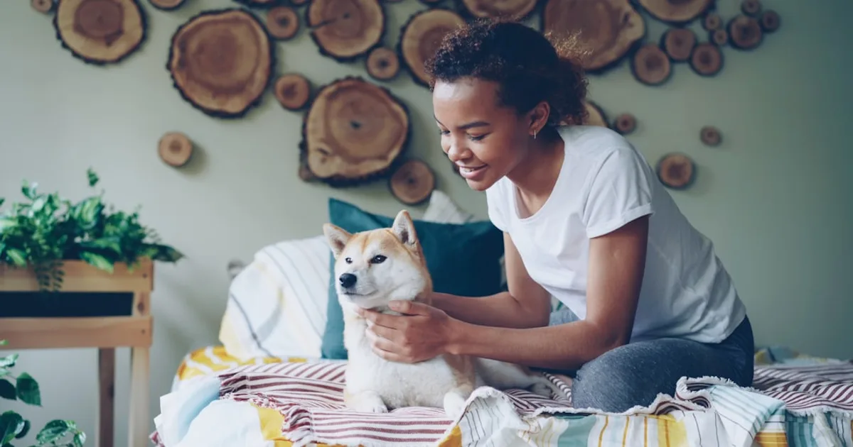 Woman pets a dog on a bed in a cozy room.