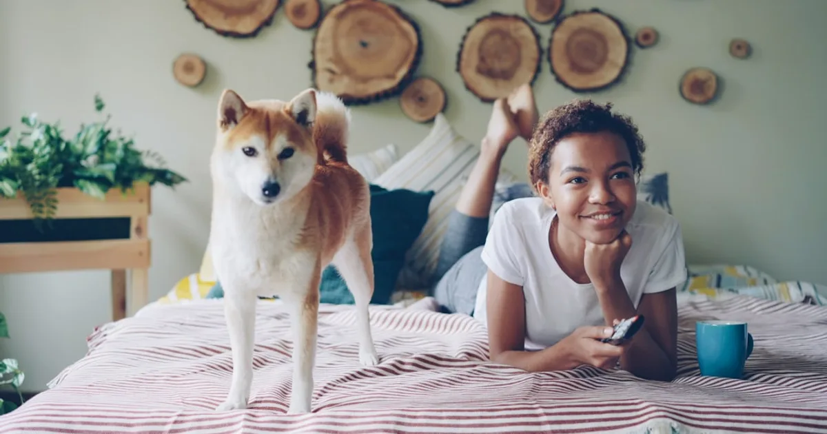 How to Choose a Dog Breed for an Apartment