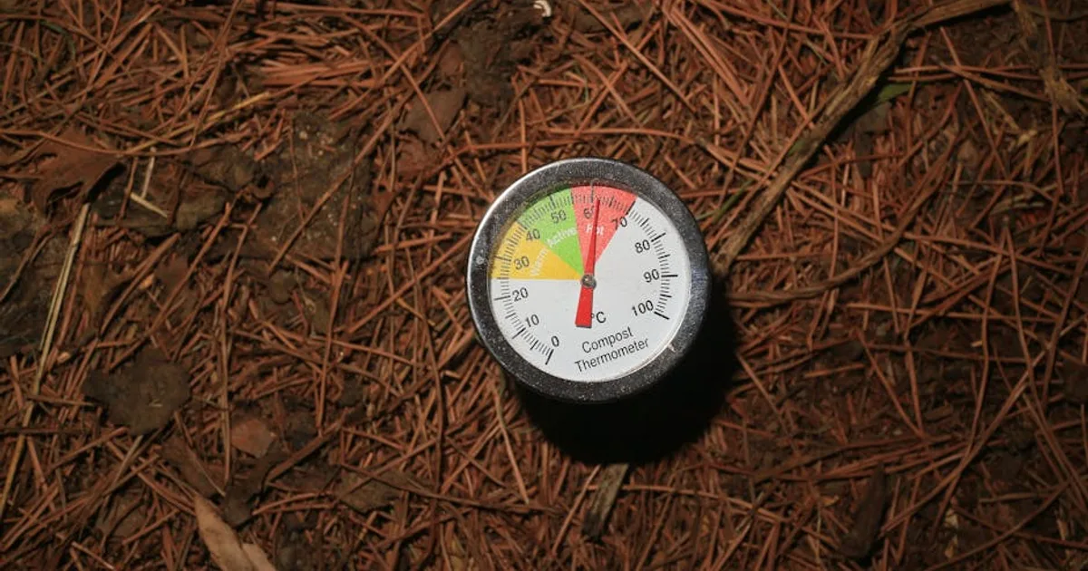 Close-up of a compost thermometer in forest soil, indicating temperature for decomposition.
