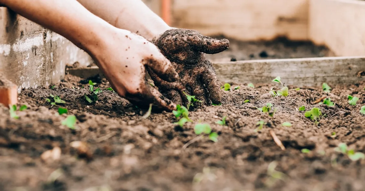 How to Make Compost at Home Step by Step